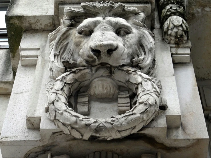 a close up of a lion's head on a building, a marble sculpture, inspired by Sir Jacob Epstein, has a laurel wreath, white marble buildings, intricate details photograph, from the front