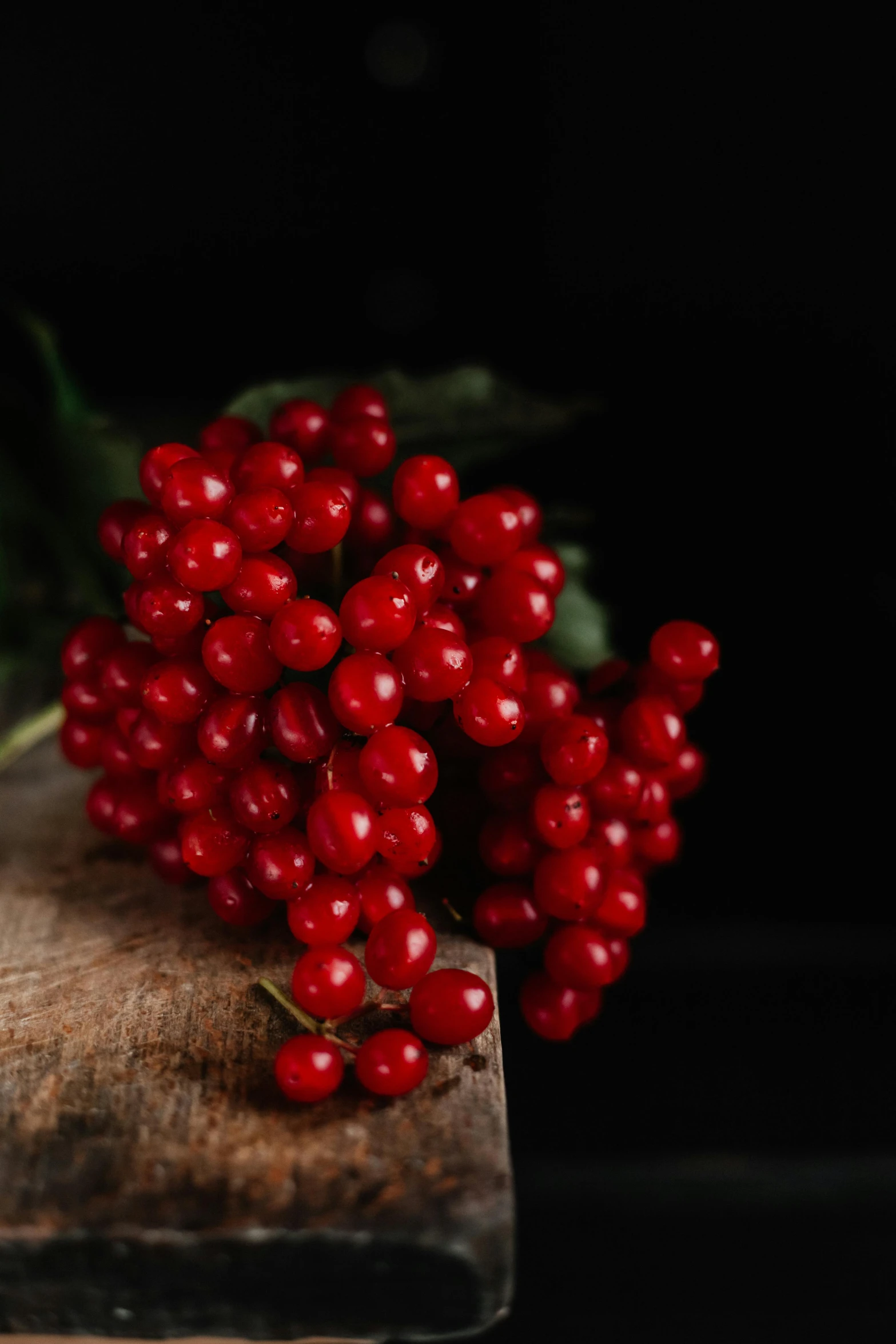 a bunch of red berries sitting on top of a piece of wood, profile image