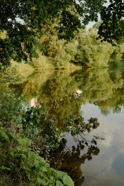 a large body of water surrounded by trees, a picture, inspired by Camille Corot, romanticism, shot on sony a 7, reflexions, loosely cropped, overview