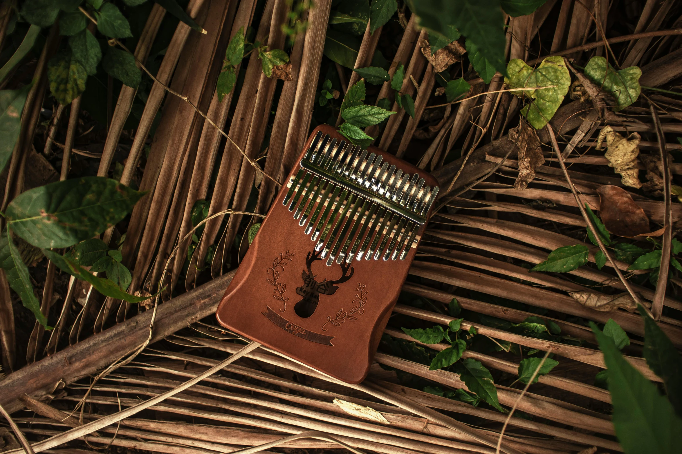 a musical instrument sitting on top of a pile of sticks, an album cover, ammo bandolier, amongst foliage, detailed product image, brown