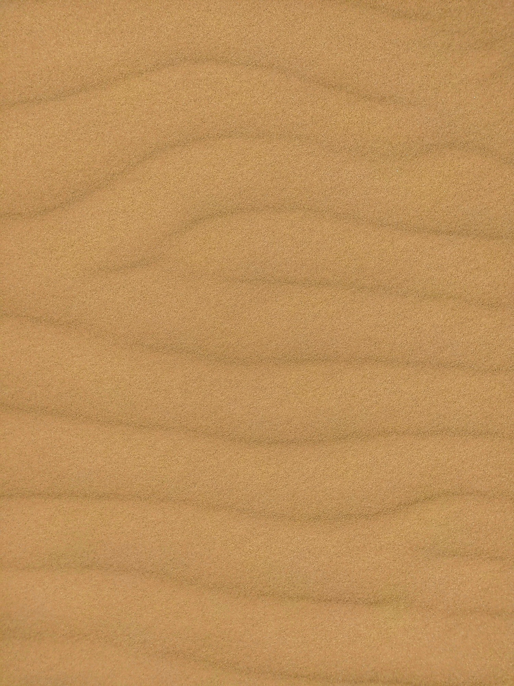 a close up of a piece of wood, the desert, light tan, on dune, ( ( brown skin ) )