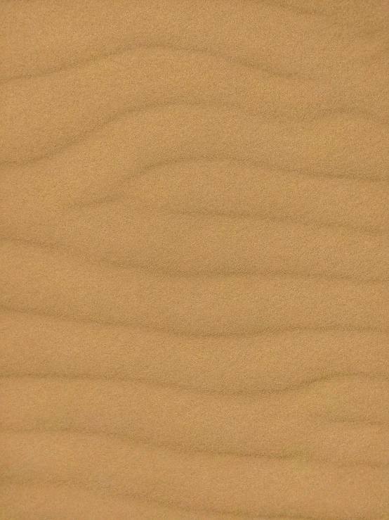 a close up of a piece of wood, the desert, light tan, on dune, ( ( brown skin ) )