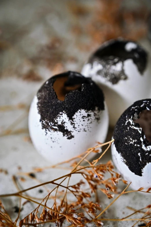 three black and white eggs sitting on top of a table, by Lucia Peka, unsplash, baroque, covered with tar, s'mores, black round hole, detailed product image