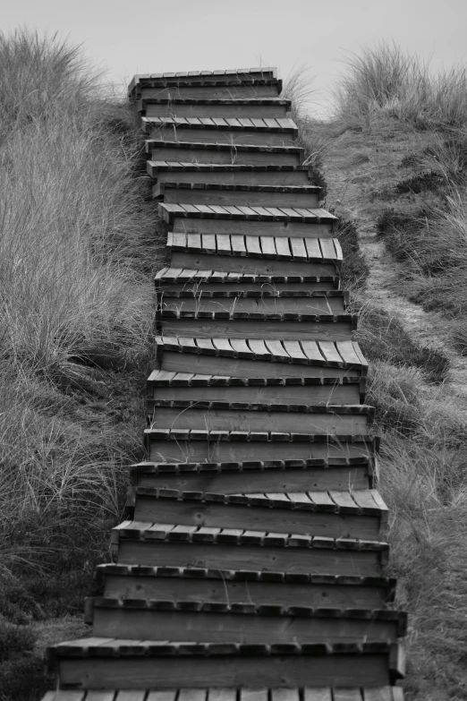 a black and white photo of a set of stairs, unsplash, land art, ffffound, marsden, boardwalk, grass