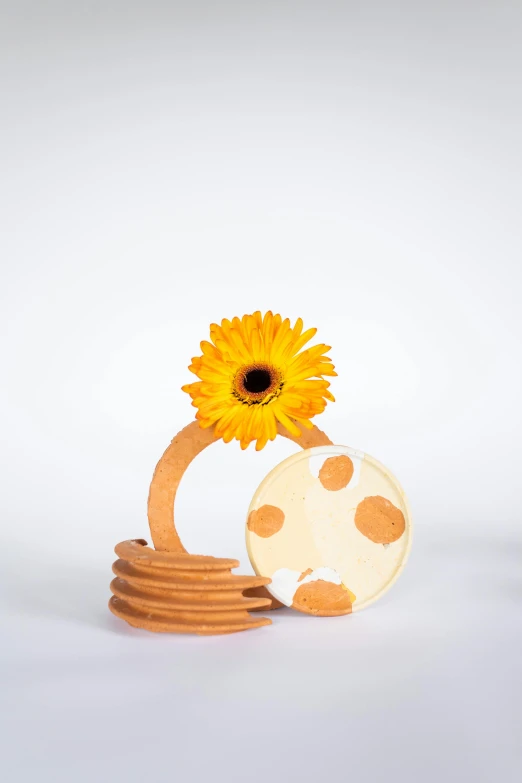 a yellow flower sitting on top of a stack of pancakes, inspired by Jeff Koons, product view, terracotta, made of swiss cheese wheels, pluto