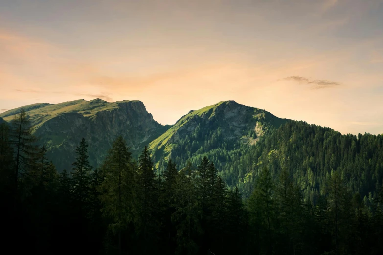 a view of a mountain with trees in the foreground, by Sebastian Spreng, pexels contest winner, summer evening, spruce trees on the sides, conde nast traveler photo, stunning screensaver