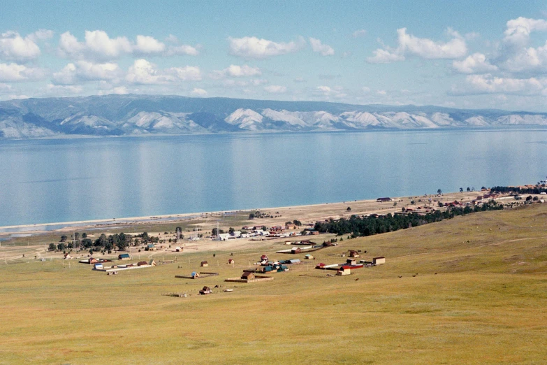 a herd of cattle standing on top of a lush green field, by Muggur, pexels contest winner, hurufiyya, lake baikal in the background, huts, beach in the foreground, hito steyerl