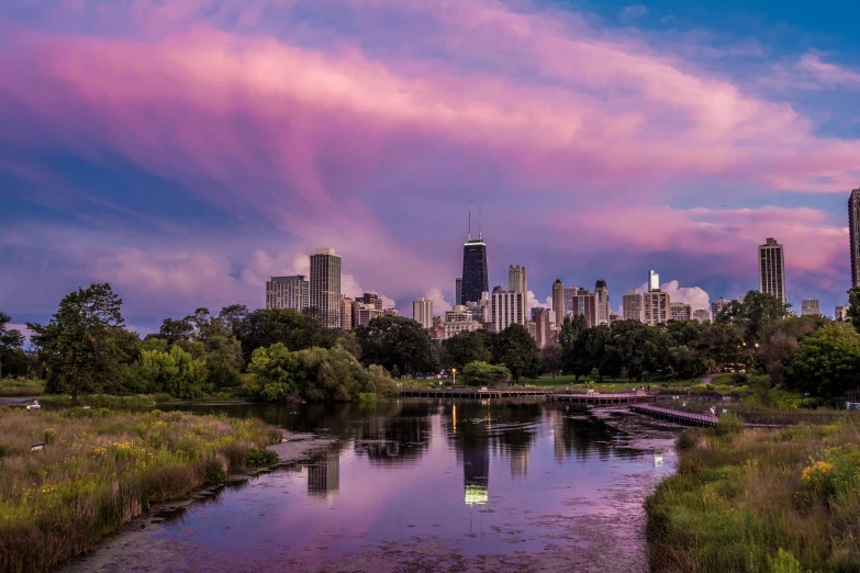 a body of water with a city in the background, by Winona Nelson, pexels contest winner, tall purple and pink trees, chicago, pink clouds in the sky, botanic garden