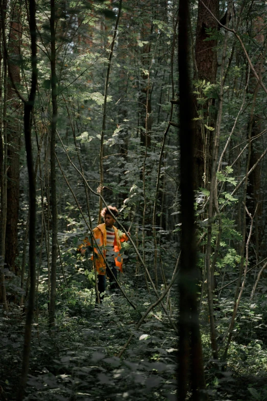 a man in an orange jacket walking through a forest, by Tobias Stimmer, environmental art, filmstill, in karuizawa, orange safety vest, 2010s