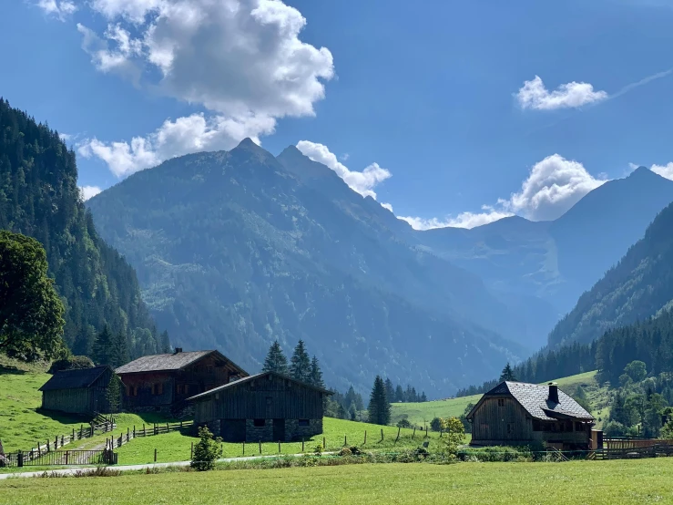 a herd of sheep grazing on top of a lush green field, by Breyten Breytenbach, pexels contest winner, renaissance, log cabin beneath the alps, avatar image