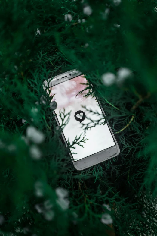 a cell phone sitting on top of a lush green tree, a picture, unsplash, connected to heart machines, dark. no text, corporate phone app icon, spying