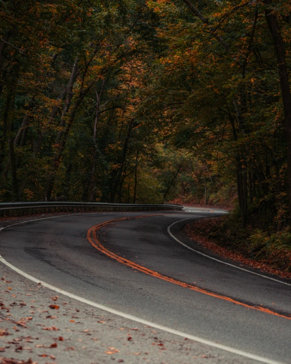 a winding road in the middle of a forest, an album cover, unsplash contest winner, hudson river school, orange racing stripes, thumbnail, lgbtq, mid fall