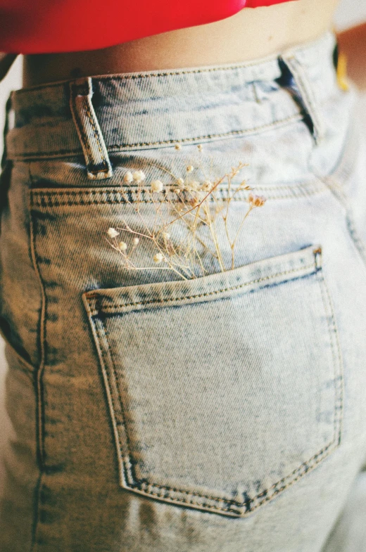 a close up of a person wearing a pair of jeans, inspired by Elsa Bleda, renaissance, gypsophila, dried plants, denim shorts, subtle gold accents