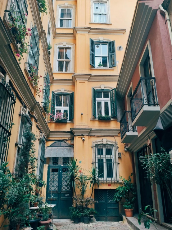 a couple of buildings that are next to each other, by Alexis Grimou, unsplash contest winner, neoclassicism, full of colorful vegetation, 🌸 🌼 💮, narrow and winding cozy streets, apartment of an art student