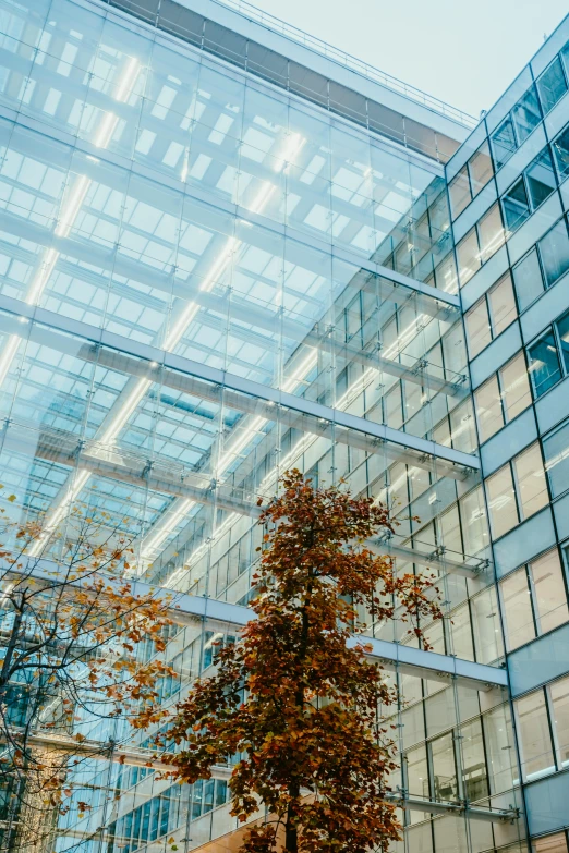 a tall glass building with a tree in front of it, pexels contest winner, office ceiling panels, thumbnail, square, seasonal