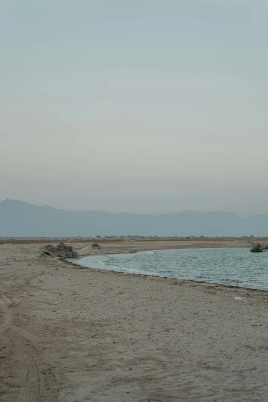 a man flying a kite on top of a sandy beach, dau-al-set, desolate :: long shot, pools of water, from luxor, murky water