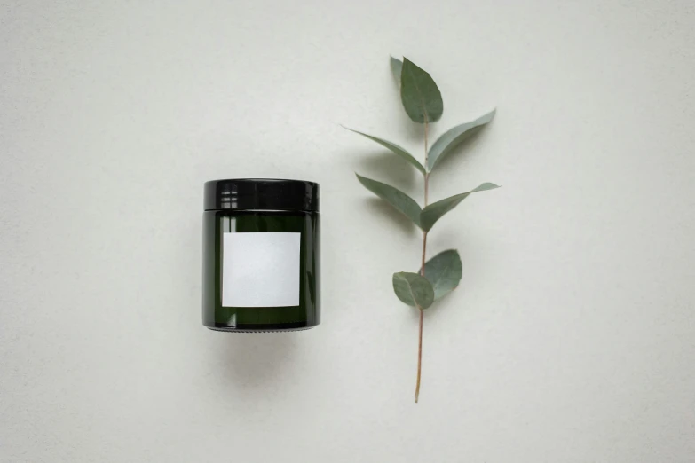 a bottle of essential oil next to a plant, pexels, minimalism, holding a candle, green facemask, asset on grey background, minimalist logo without text