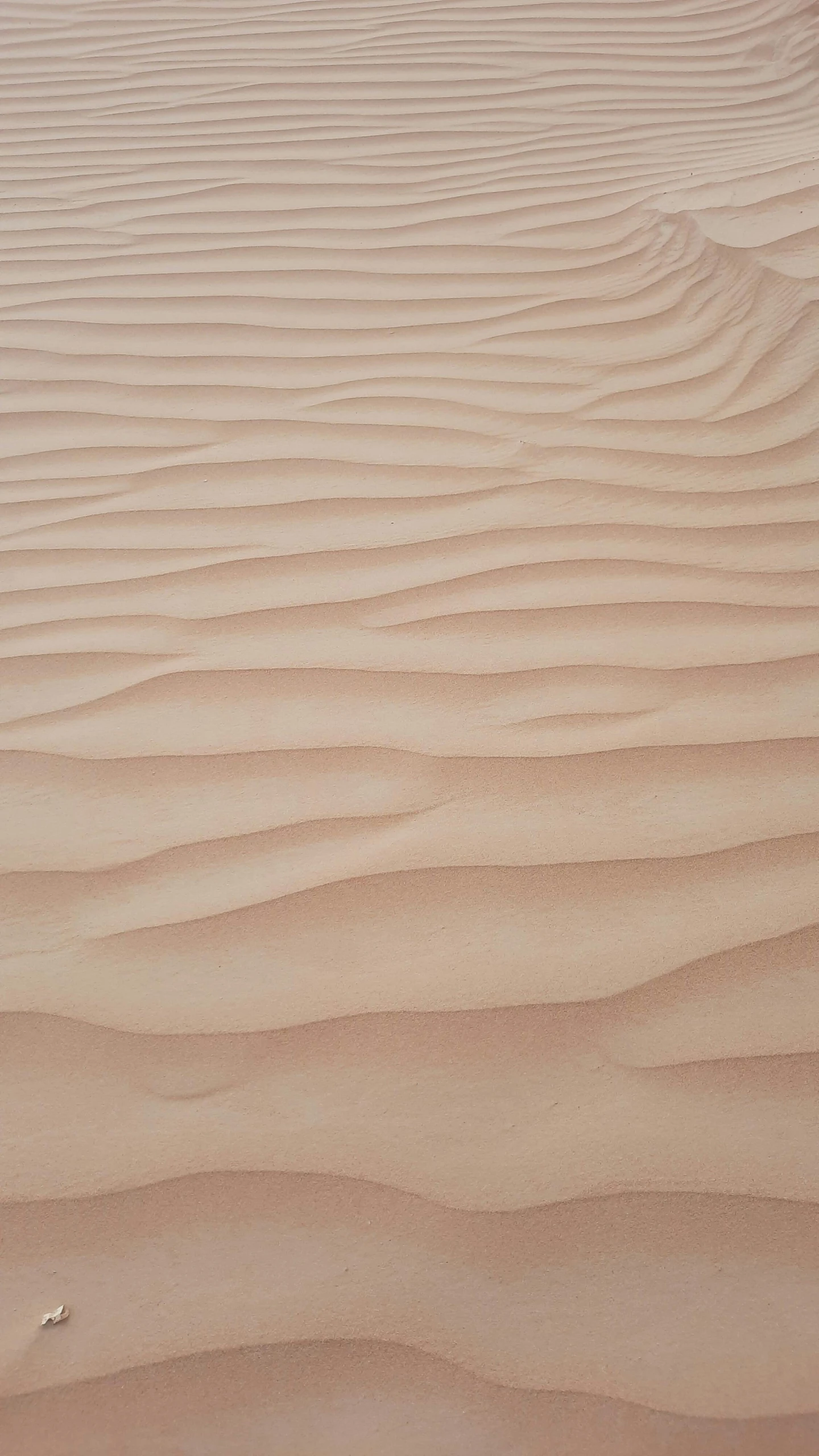 a person riding a surfboard on top of a sandy beach, inspired by Edward Weston, pexels contest winner, op art, pale pink grass, detail texture, folds of fabric, sahara desert