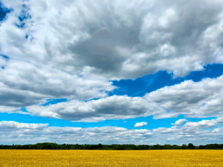 a field of yellow flowers under a cloudy sky, a picture, by Carey Morris, pexels, color field, layered stratocumulus clouds, from wheaton illinois, blue and yellow, horizon