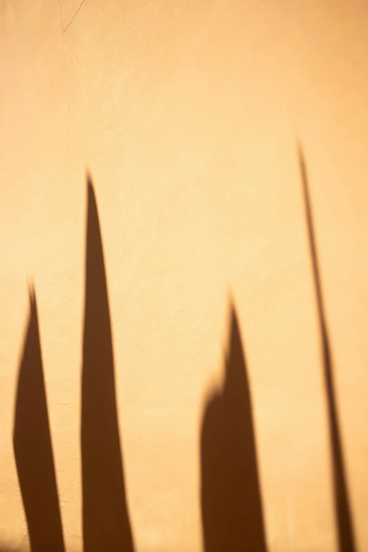 a group of people standing next to each other holding surfboards, an album cover, inspired by Lucio Fontana, pexels, lyrical abstraction, sunset. light shadow, by greg rutkowski, abstract detail, tall spires