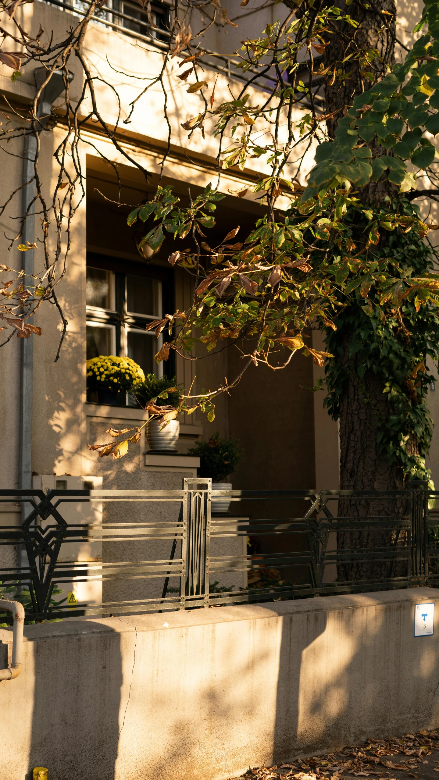 a man riding a skateboard down a sidewalk next to a building, inspired by Albert Paris Gütersloh, pexels contest winner, art nouveau, autum garden, with a front porch, neo kyiv, plants and patio