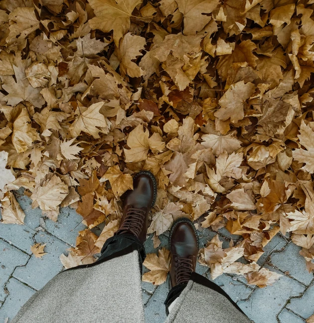 a person standing in front of a pile of leaves, pexels contest winner, realism, brown boots, wide high angle view, brown tuffle coat, thumbnail