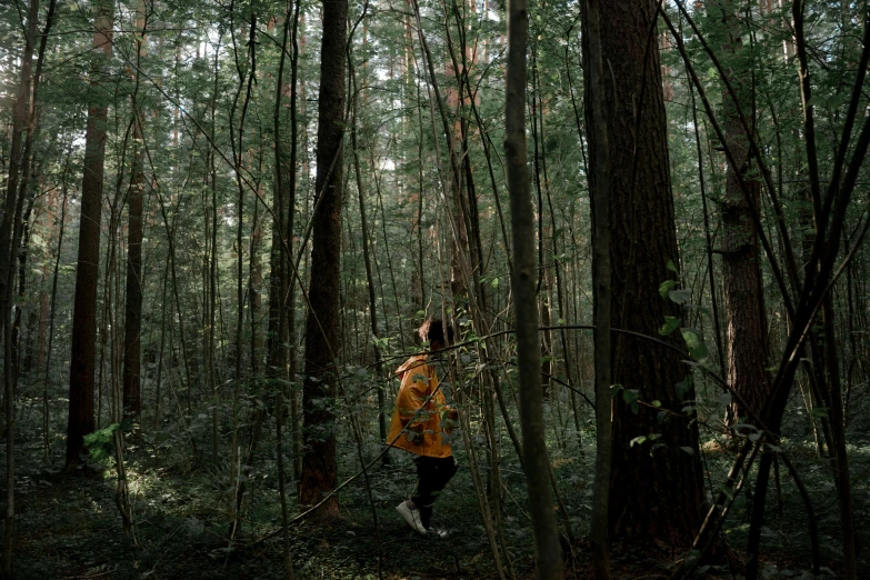 a person standing in the middle of a forest, wearing a yellow hoodie, in karuizawa, shot with hasselblad, forest picnic