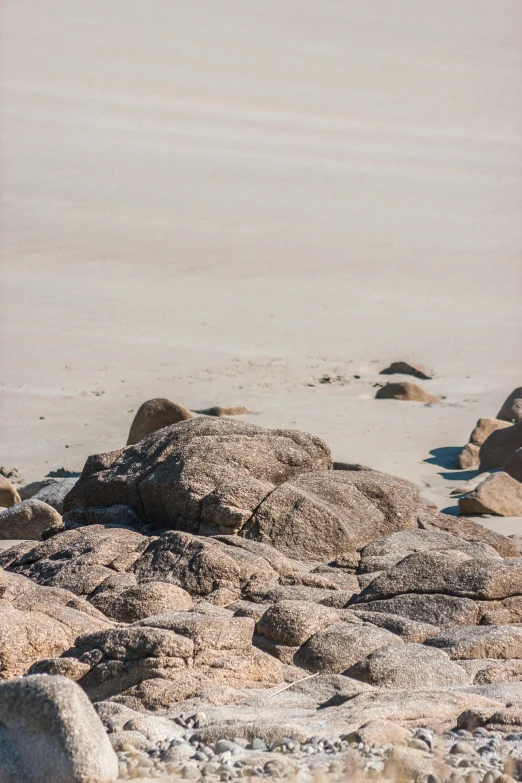 a man riding a surfboard on top of a sandy beach, by Andries Stock, unsplash, minimalism, boulders, rocky grass field, low detail, 8k 50mm iso 10