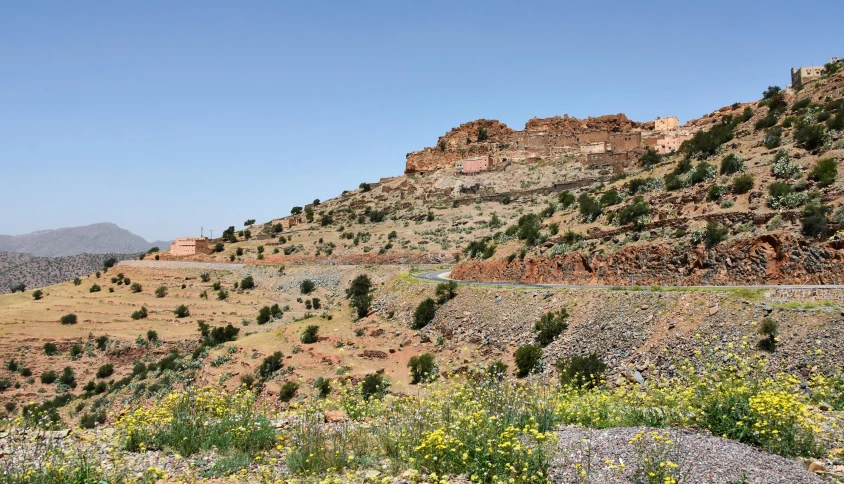 a mountain with a road in the middle of it, les nabis, palace on top of the hill, desert flowers, slide show, getty images