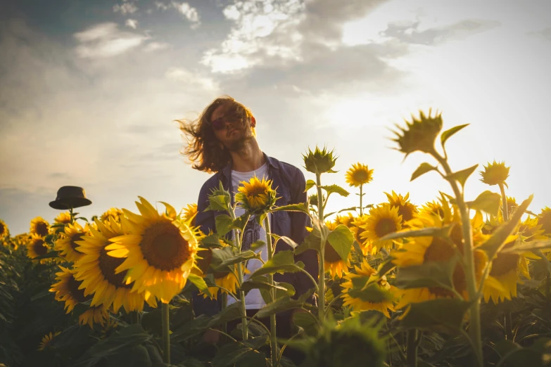 a man standing in a field of sunflowers, by Niko Henrichon, pexels contest winner, jamie campbell bower, sun flairs, various posed, avatar image