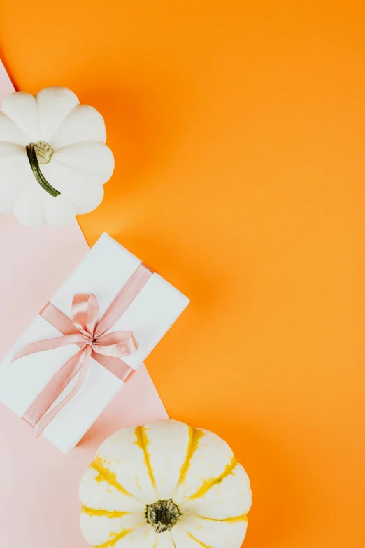 two white pumpkins and a pink gift box on an orange background, by Carey Morris, pexels contest winner, white space in middle, mod, wrapped, square