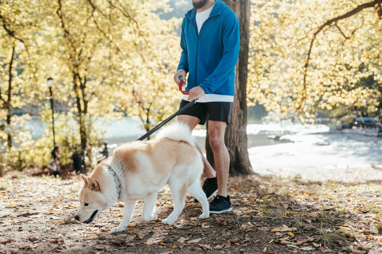 a man walking his dog in the woods, by Julia Pishtar, sport clothing, avatar image