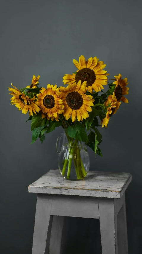 a vase of sunflowers sitting on a stool, full product shot, in a short round glass vase, very award - winning, very large