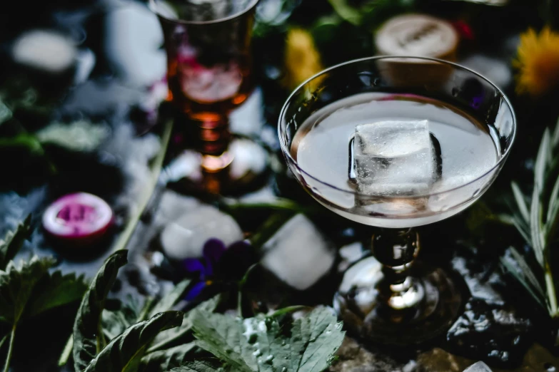 a glass filled with ice sitting on top of a table, a still life, inspired by Ndoc Martini, trending on unsplash, renaissance, background image, gardening, 1 9 2 0's style speakeasy, grey