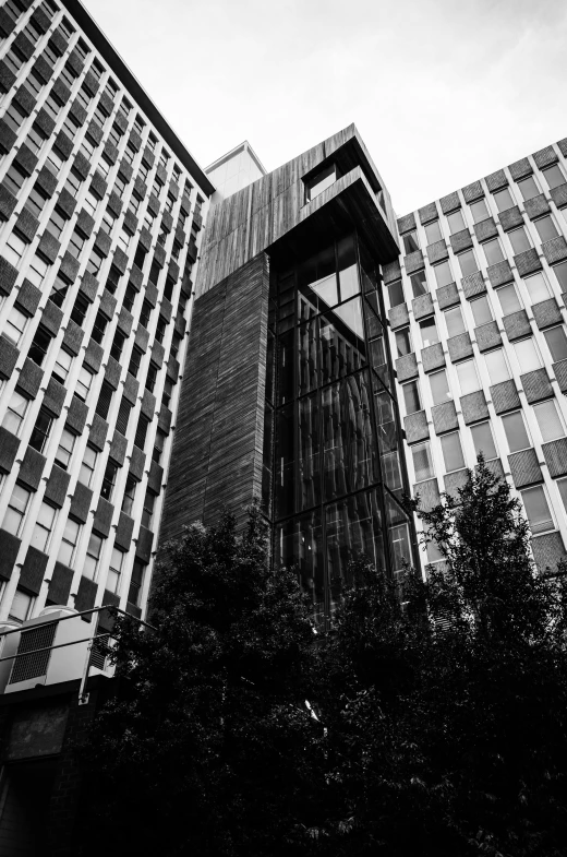 a black and white photo of a tall building, by Kevin Connor, wooden buildings, research complex, window ( city ), various posed
