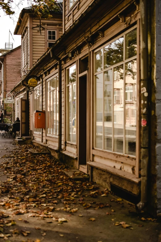 a red fire hydrant sitting on the side of a street, by Jan Tengnagel, renaissance, orange and brown leaves for hair, old shops, light coming from the windows, autumn leaves on the ground