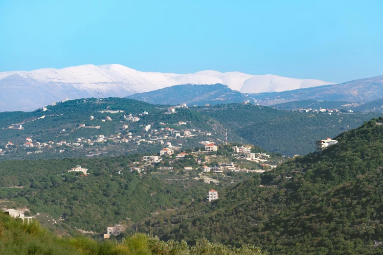 a couple of cows standing on top of a lush green hillside, les nabis, damascus, with snow on its peak, dezeen, panoramic