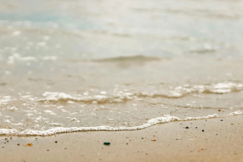 a bird standing on top of a beach next to the ocean, a picture, unsplash, minimalism, wave of water particles, middle close up, carribean white sand, laying on a beach