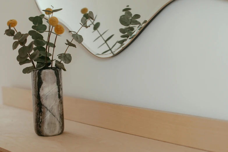 a vase that has some flowers in it, pexels contest winner, minimalism, with a mirror, clear curvy details, eucalyptus, fine lines and graphite