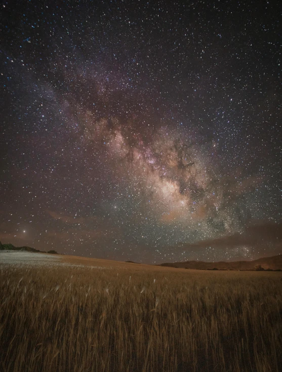 a field of wheat with the milky in the background, by Matt Cavotta, unsplash contest winner, light and space, galactic dark colors, planets and stars, brown, edge of interstellar space