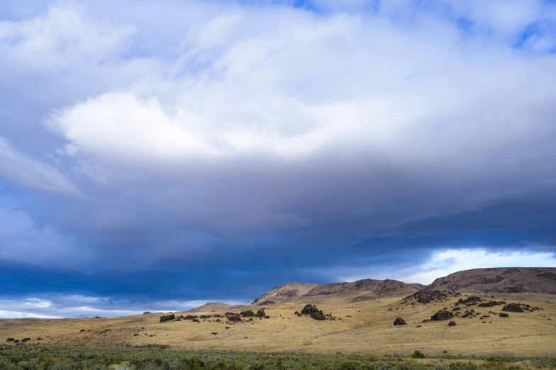 a herd of cattle grazing on top of a dry grass field, by Peter Churcher, unsplash, land art, giant clouds, patagonian, background image