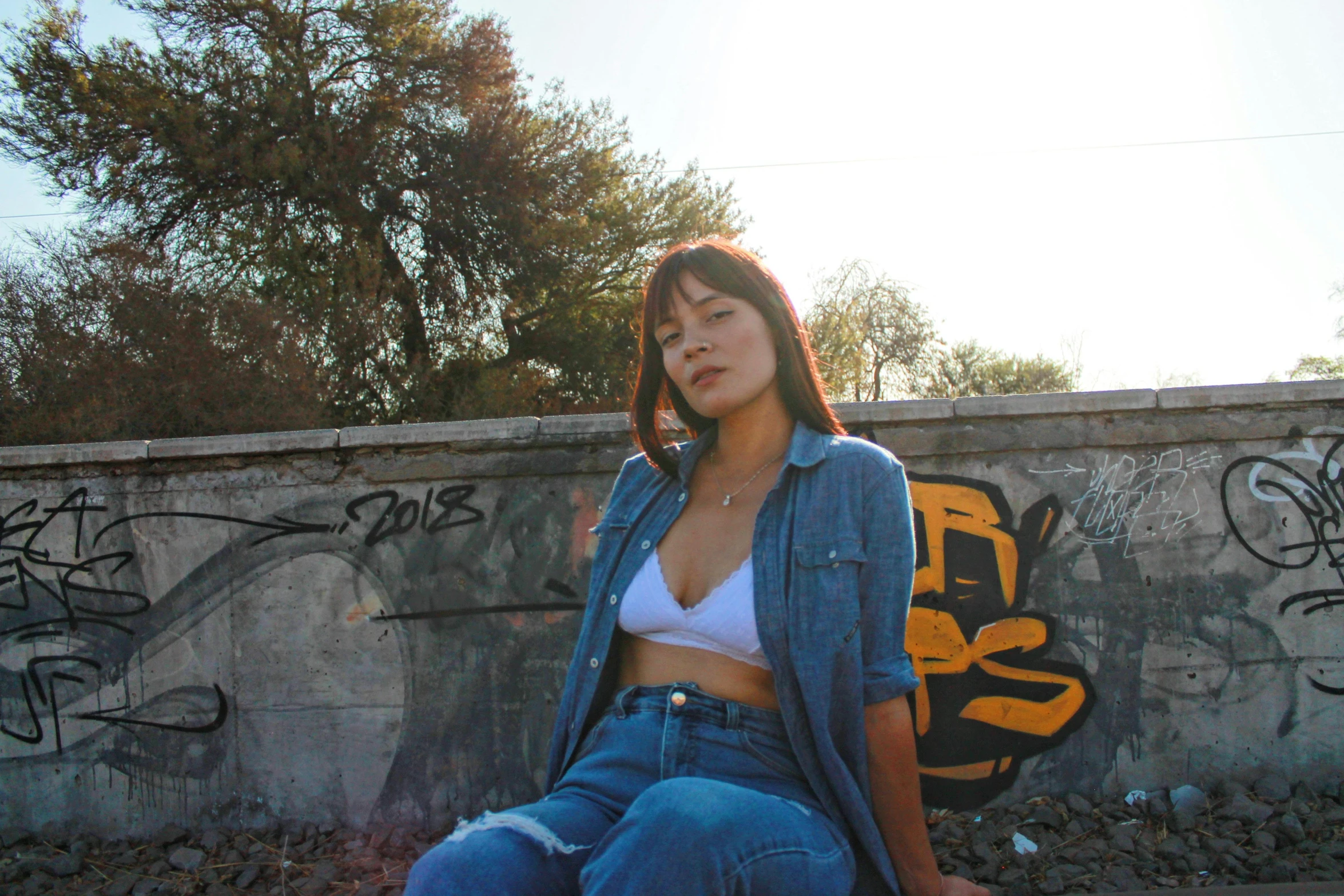 a beautiful young woman sitting on top of a skateboard, an album cover, pexels contest winner, graffiti, wearing double denim, janice sung, avatar image, wearing yellow croptop