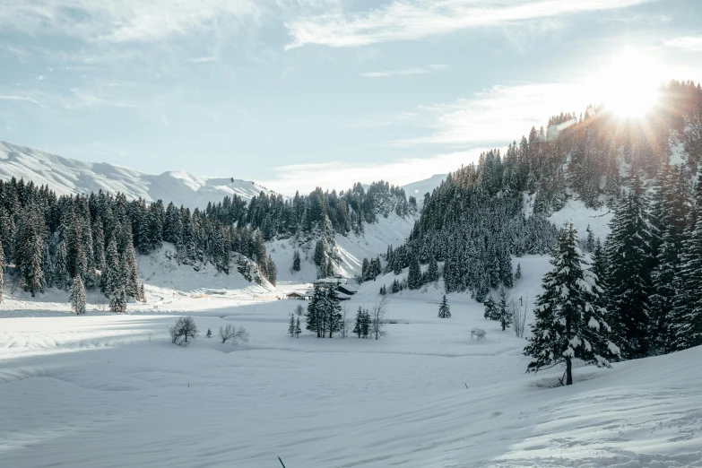 a person riding skis down a snow covered slope, pexels contest winner, les nabis, fir trees, the middle of a valley, photo of zurich, snowy field