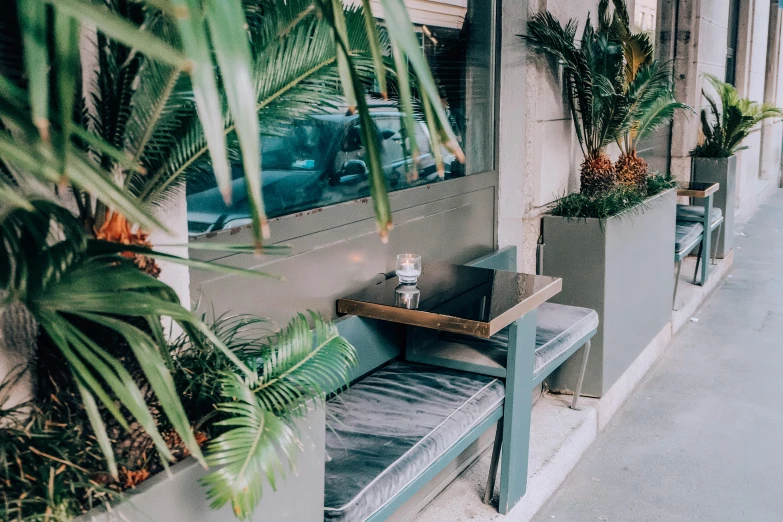 a row of planters on the side of a building, a photo, unsplash, art nouveau, sitting alone at a bar, chest covered with palm leaves, table in front with a cup, street of teal stone