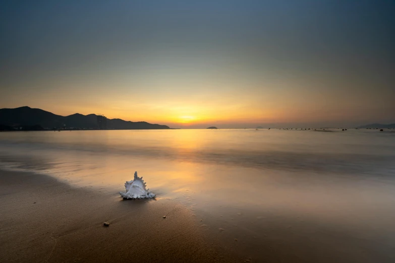 a shell sitting on top of a sandy beach, by Andries Stock, unsplash contest winner, minimalism, sunset + hdri, vietnam, floating crown, paul barson