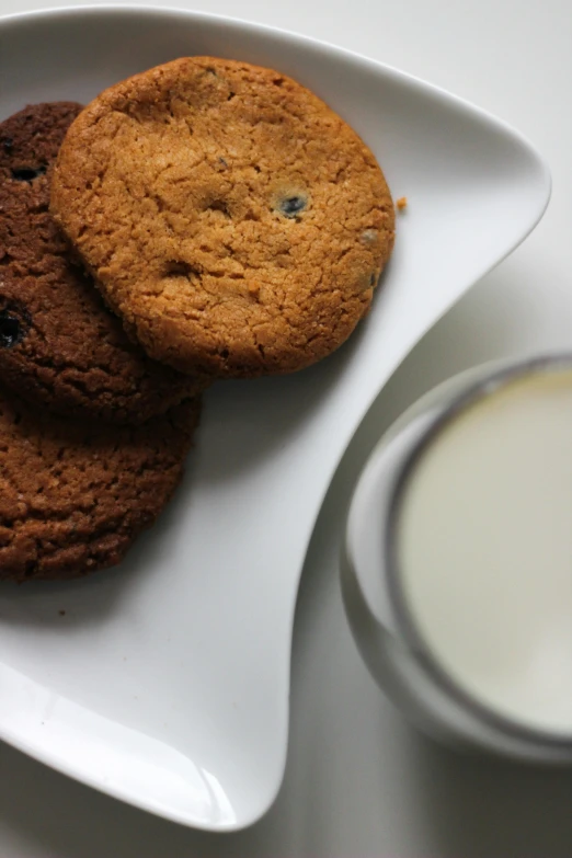 a plate of cookies and a glass of milk, flickr, 3 colours, alessio albi, sleek round shapes, blueberry