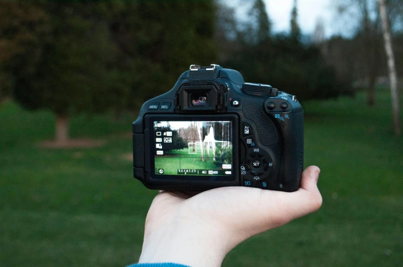 a person holding a camera in their hand, a picture, zoo photography, canon dslr, back towards camera, digital photography”