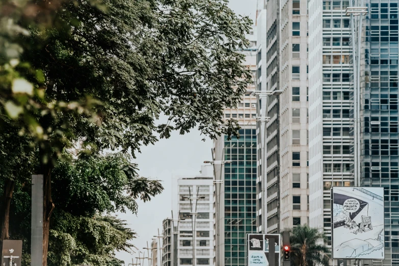 a city street filled with lots of tall buildings, pexels contest winner, tropical trees, background image, são paulo, half image