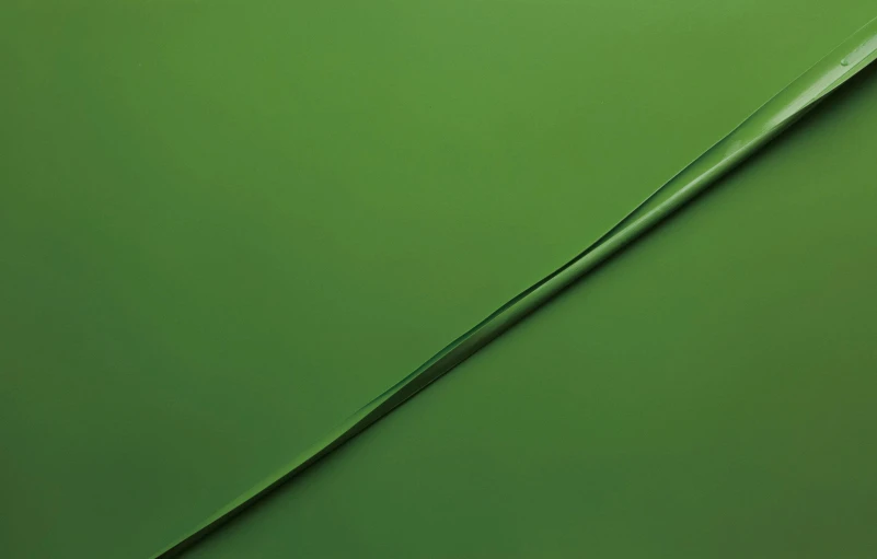 a close up of a blade of grass on a green background, an album cover, inspired by Lucio Fontana, trending on pexels, lyrical abstraction, liquid glass, silicone skin, detailed product image, lacquered