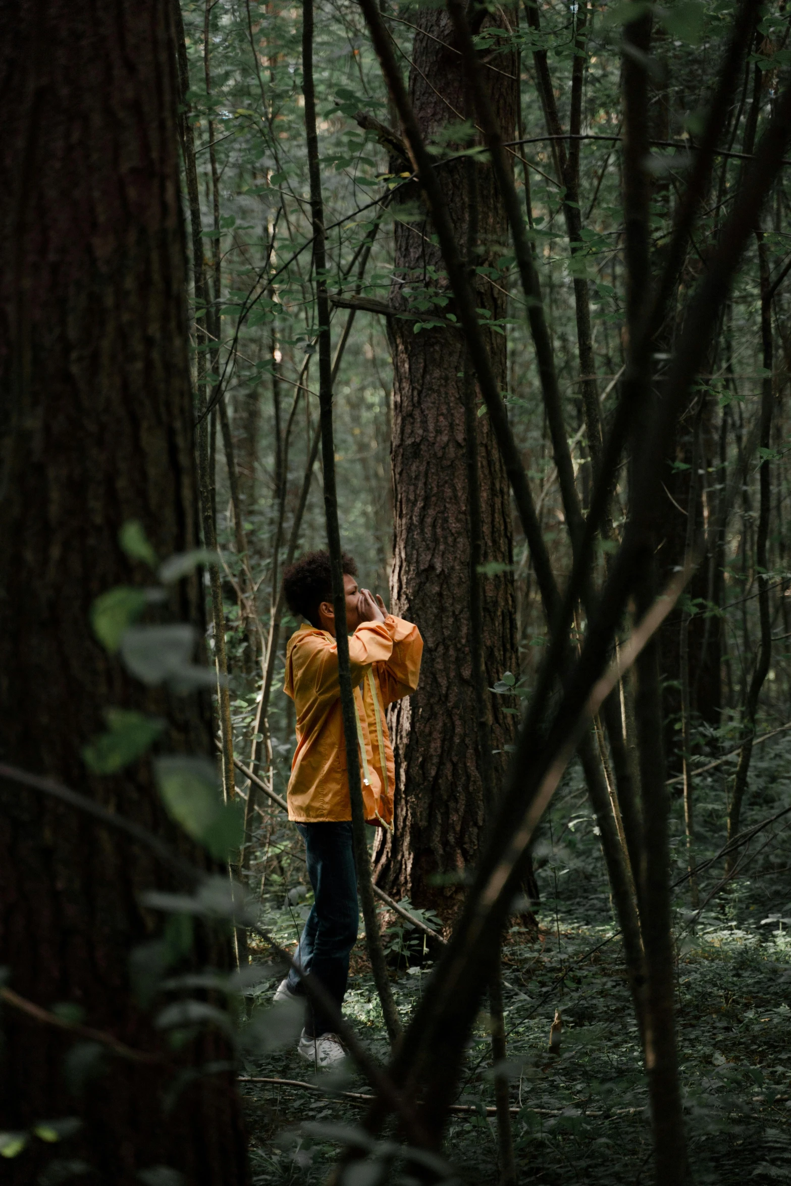 a person standing in the middle of a forest, kids, fascinated, hanging, low iso